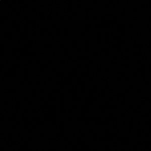 Meet your Posher, Lillian